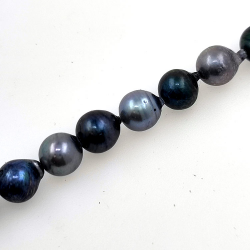 Akoya pearl strand of 5.5 mm with 40 cm of length