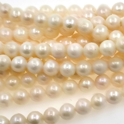 Hilo de perlas Akoya de  6,5 mm con 40 cm de largo