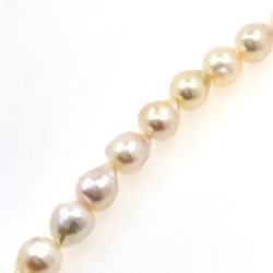 Filo di perle Akoya 5,5 mm con lunghezza di 40 cm