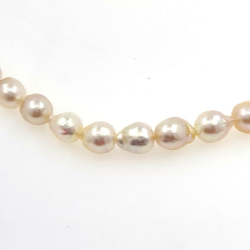 Hilo de perlas Akoya de 5,5 mm con 40 cm de largo