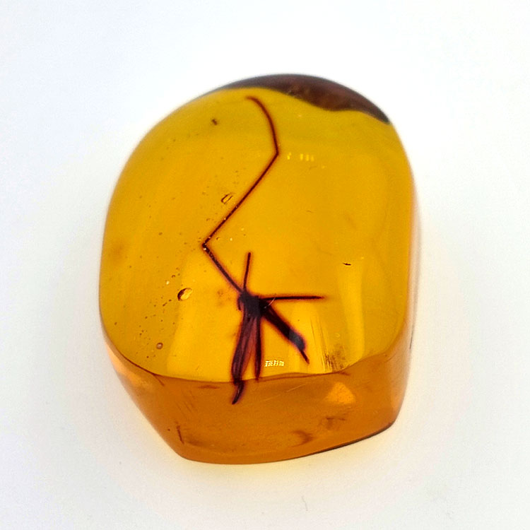 28,61ct Ámbar con insecto cabujón 33 x 27 x 18mm