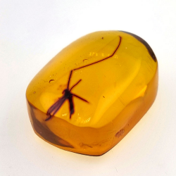 28,61ct Ámbar con insecto cabujón 33 x 27 x 18mm