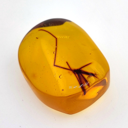 28,61ct Ámbar con insecto cabujón 33 x 27 x 18mm