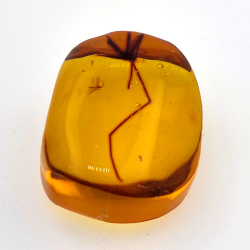 28,61ct Ámbar con insecto cabujón 33 x 27 x 18mm