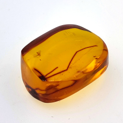 28,61ct Amber with cabochon insect 33 x 27 x 18mm