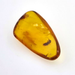 11,47 ct Amber with cabochon insect 30 x 17 x 8 mm