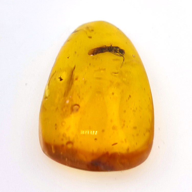 11,47 ct Ambre avec insecte cabochon 30 x 17 x 8 mm