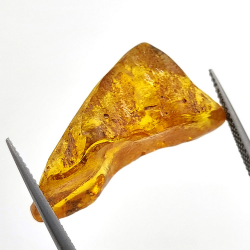 9.60 ct Amber with cabochon insect 28 x 14 x 12 mm
