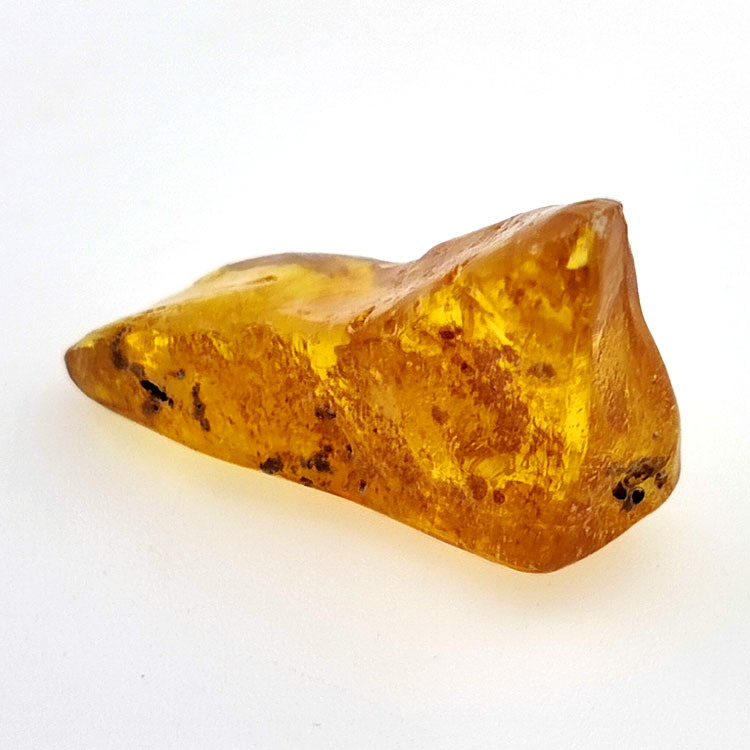9,60 ct Ambre avec insecte cabochon 28 x 14 x 12 mm