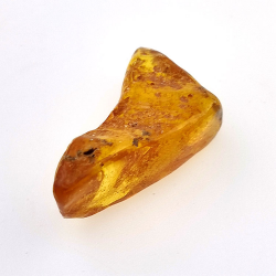 9,60 ct Ámbar con insecto cabujón 28 x 14 x 12 mm