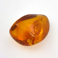 24,93 ct Ámbar con insecto cabujón 29,7x 20,3 x 16mm