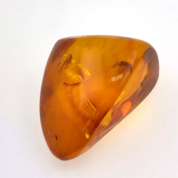 24,93 ct Ámbar con insecto cabujón 29,7x 20,3 x 16mm
