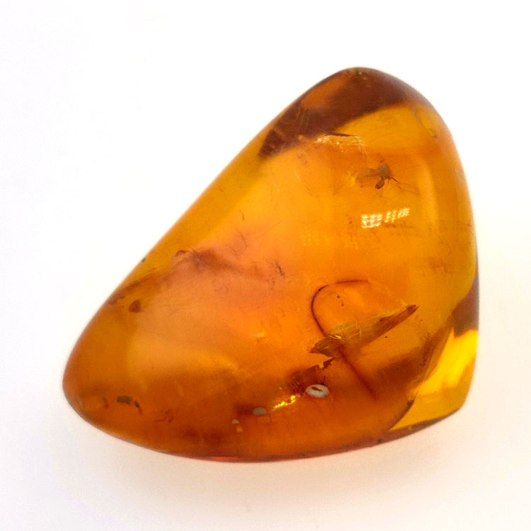 24,93 ct Ámbar con insecto cabujón 29,7x 20,3 x 16mm