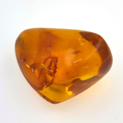 24.93 ct Amber with cabochon insect 29.7 x 20.3 x 16mm