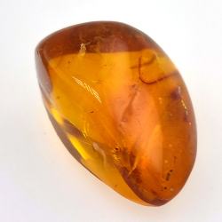 24,93 ct Ámbar con insecto cabujón 29,7x 20,3 x 16mm