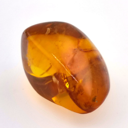 24.93 ct Ambre avec insecte cabochon 29.7 x 20.3 x 16mm