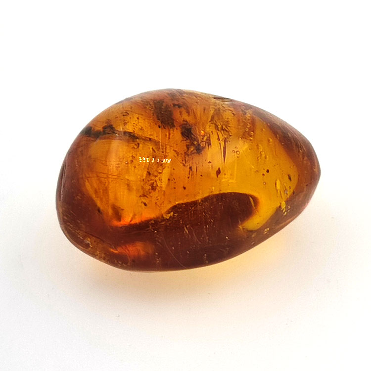 20 ct Ámbar con insecto cabujón 25,38 x  20 x 14,86 mm