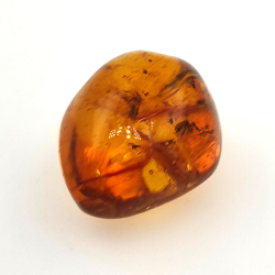 20 ct Amber with cabochon insect 25.38 x 20 x 14.86 mm