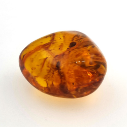 20 ct Ámbar con insecto cabujón 25,38 x  20 x 14,86 mm