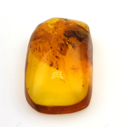 24,80 ct Ámbar con insecto cabujón 36 x 20,61 x 9,72 mm