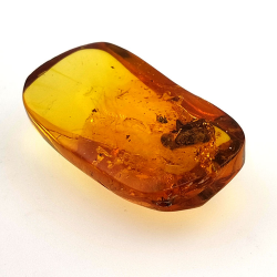 24,80 ct Ambre avec insecte cabochon 36 x 20,61 x 9,72 mm