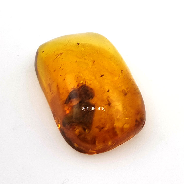 24,80 ct Ámbar con insecto cabujón 36 x 20,61 x 9,72 mm