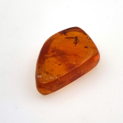 9,18 ct Ámbar con insecto cabujón 25,08 x 15,96 x 7,22 mm