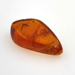 9,18 ct Ámbar con insecto cabujón 25,08 x 15,96 x 7,22 mm