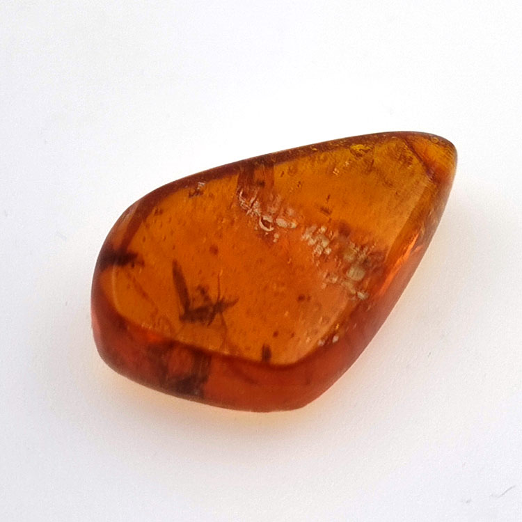 9,18 ct Ámbar con insecto cabujón 25,08 x 15,96 x 7,22 mm