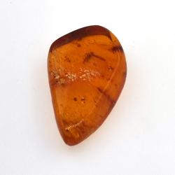 9,18 ct Ámbar con insecto cabujón 25,08 x 15,96 x 7,22 mm