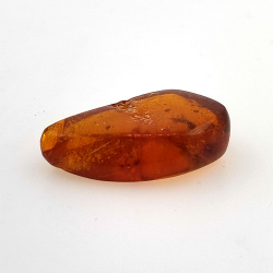 9,18 ct Amber with cabochon insect 25,08 x 15,96 x 7,22 mm