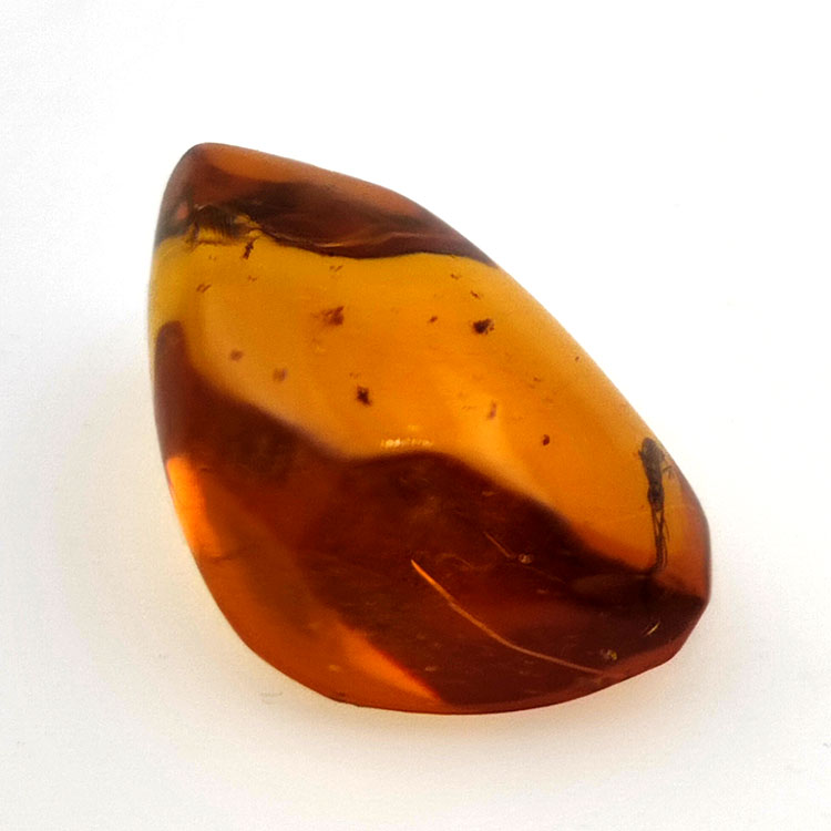 10,37 ct Bernstein mit Cabochon Insekt 24,85 x 15,08 x 10,21 mm
