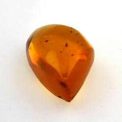 10,37 ct Amber with cabochon insect 24,85 x 15,08 x 10,21 mm