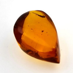 10,37 ct Ámbar con insecto cabujón 24,85 x 15,08 x 10,21 mm