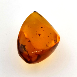 10,37 ct Amber with cabochon insect 24,85 x 15,08 x 10,21 mm
