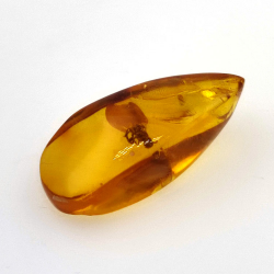 7,57 ct Ámbar con insecto cabujón 26,41 x 11,44 x 8,34 mm