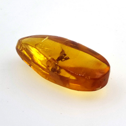 7,57 ct Ambre avec insecte cabochon 26,41 x 11,44 x 8,34 mm