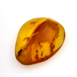 9,26 ct Ámbar con insecto cabujón 24,29 x 18,82 x 7,86 mm