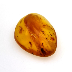 9,26 ct Ámbar con insecto cabujón 24,29 x 18,82 x 7,86 mm