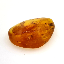9,26 ct Bernstein mit Cabochon Insekt 24,29 x 18,82 x 7,86 mm