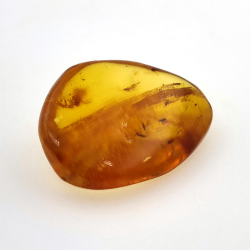 9,26 ct Bernstein mit Cabochon Insekt 24,29 x 18,82 x 7,86 mm