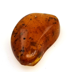 6,22 ct Ámbar con insecto cabujón 22,63 x 14,74 x 6,06 mm