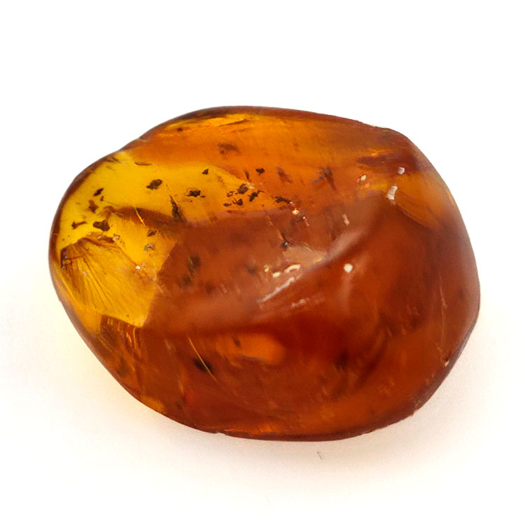 15,96 ct Amber with cabochon insect 25,70 x 20,26 x 9,77 mm
