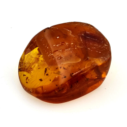 15,96 ct Ámbar con insecto cabujón 25,70 x 20,26 x 9,77 mm
