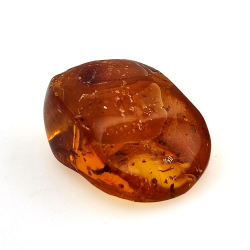 15,96 ct Ambra con insetto cabochon 25,70 x 20,26 x 9,77 mm