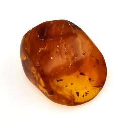 15,96 ct Ámbar con insecto cabujón 25,70 x 20,26 x 9,77 mm