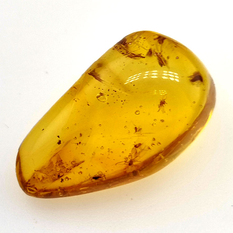 9,75 ct Ámbar con insecto cabujón 24,47 x 13,19 x 9,71 mm