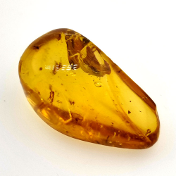 9,75 ct Ámbar con insecto cabujón 24,47 x 13,19 x 9,71 mm