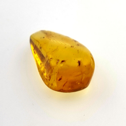 9,75 ct Amber with cabochon insect 24,47 x 13,19 x 9,71 mm