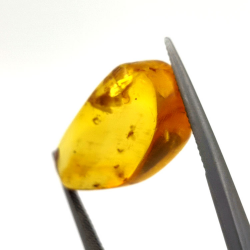 9,75 ct Ámbar con insecto cabujón 24,47 x 13,19 x 9,71 mm